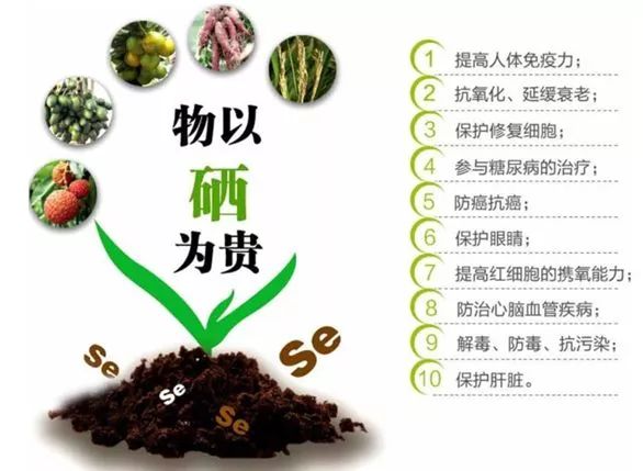 补硒的作用大吗