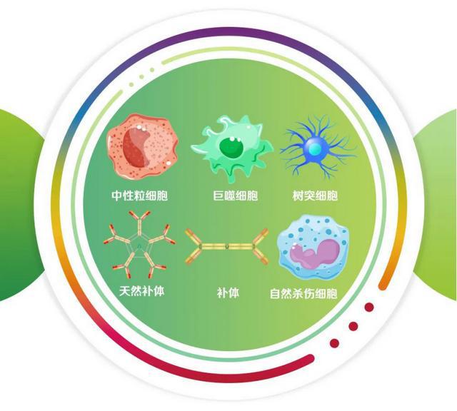什么东西补硒的