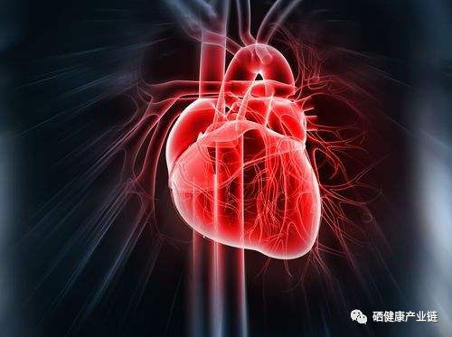 什么人可以补硒