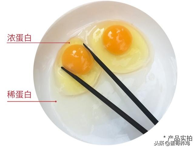 https://www.fuxichang.com/wp-content/uploads/2023/12/1702433380609_1.jpg