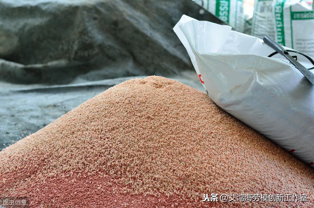 羊的硒吃什么补