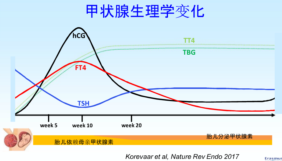 甲减补硒的剂量