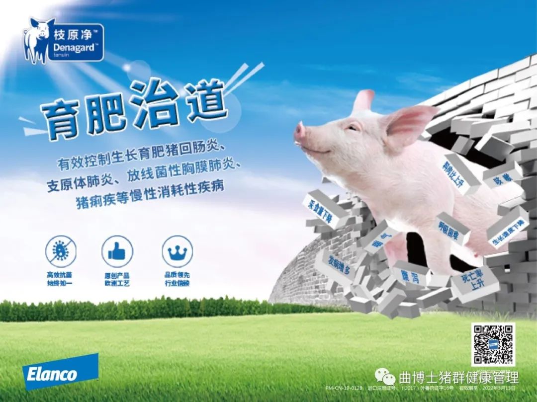 补硒会不会中毒