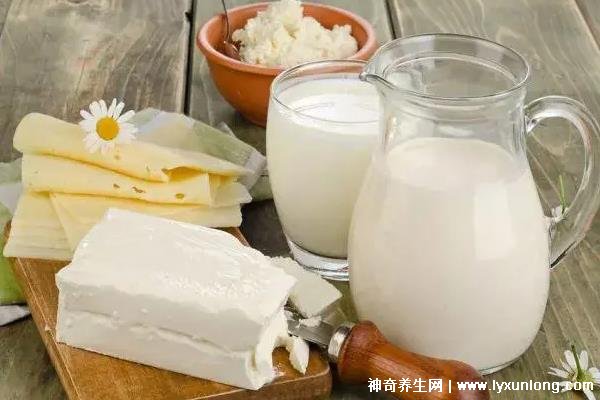 钙尔奇和汤臣倍健哪个补钙好