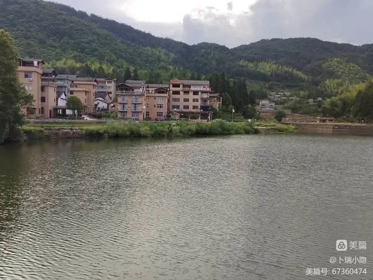 吃什么能补硒锌