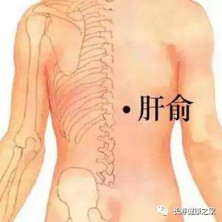 补硒养肝的方法