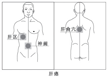 补硒养肝的方法