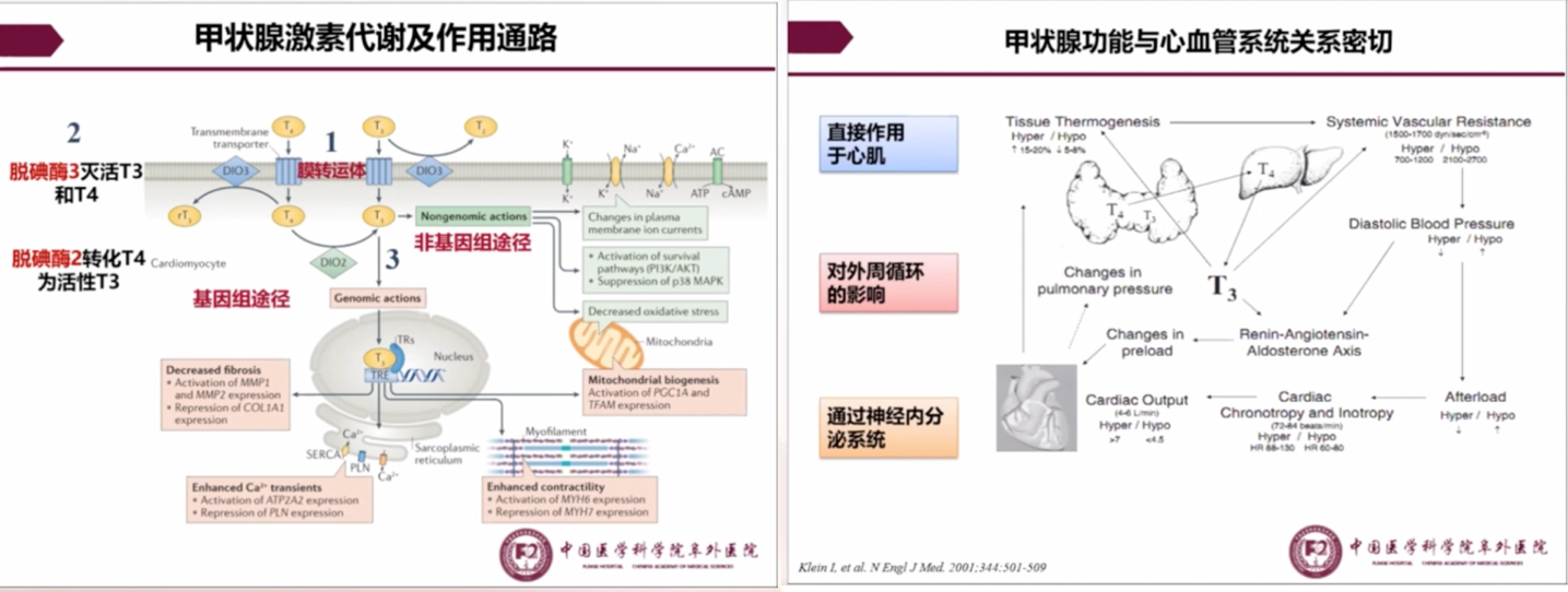 甲减补多少锌硒