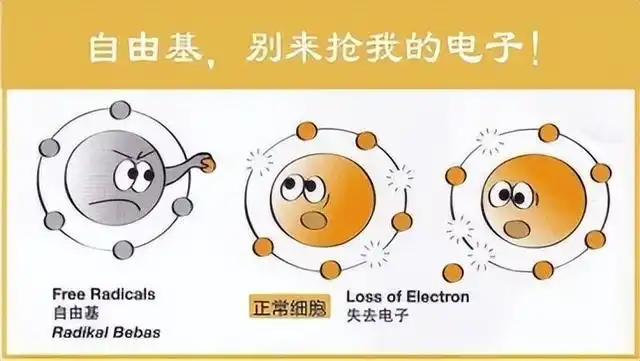 文章图片7