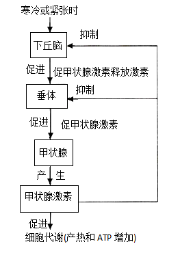 乳腺癌需要补硒