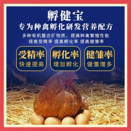 补硒鸡蛋怎喂的