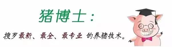 母猪补硒怎么办