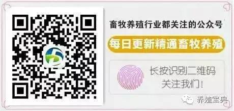 母猪补硒怎么办