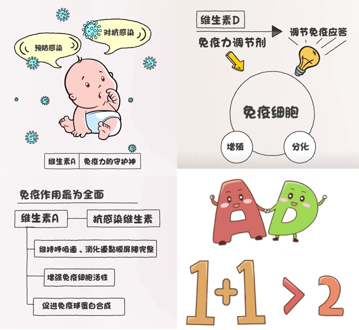 硒和锌能补什么