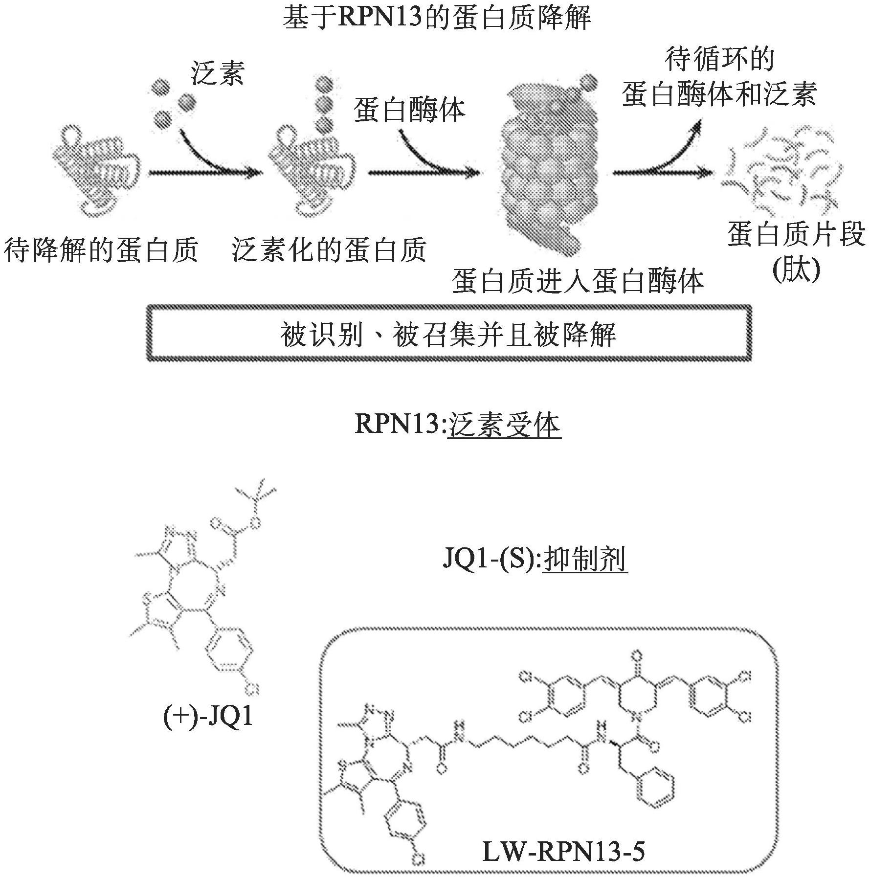 低蛋白能补硒吗