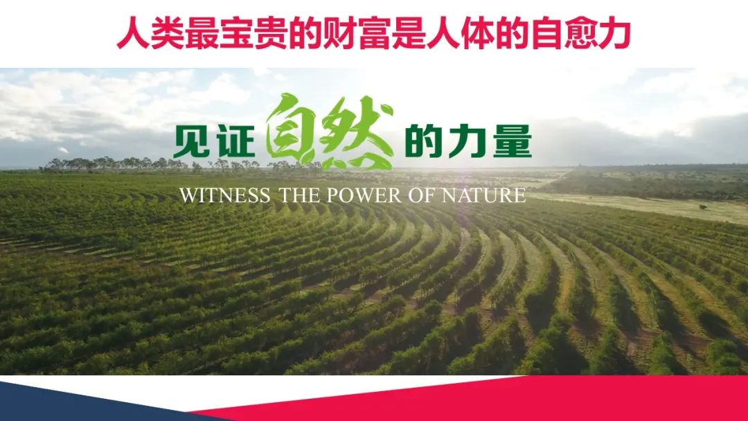甲减可以吃补硒