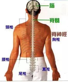 肺气肿能补硒吗