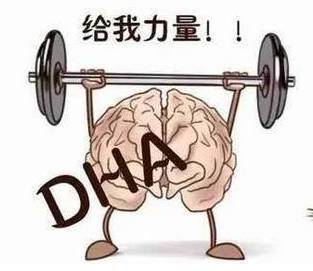 钙硒可以同补吗