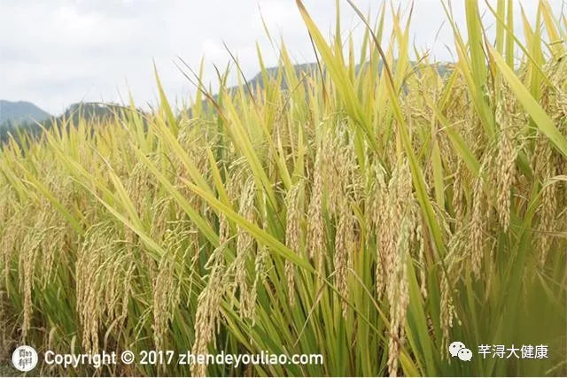 补硒能抗疲劳吗