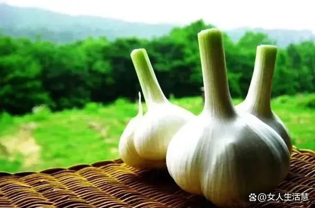 大蒜油能补硒吗
