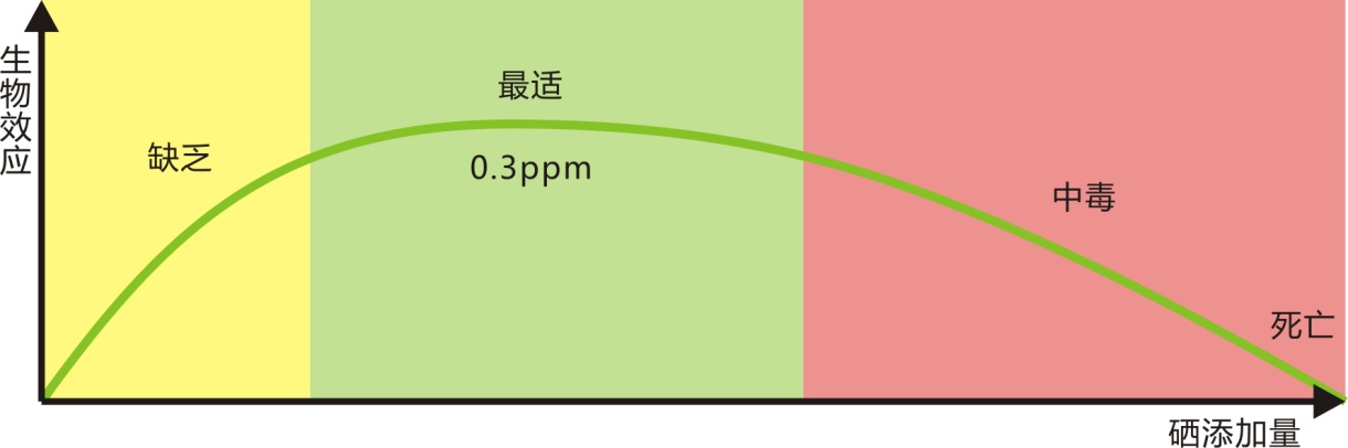 安琪补硒怎么样