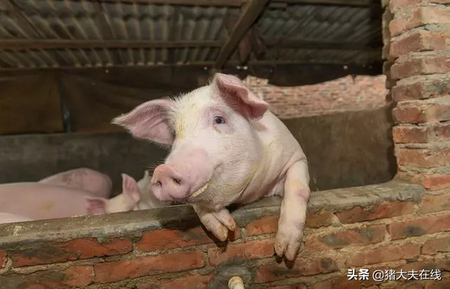 哺乳期能补硒吗