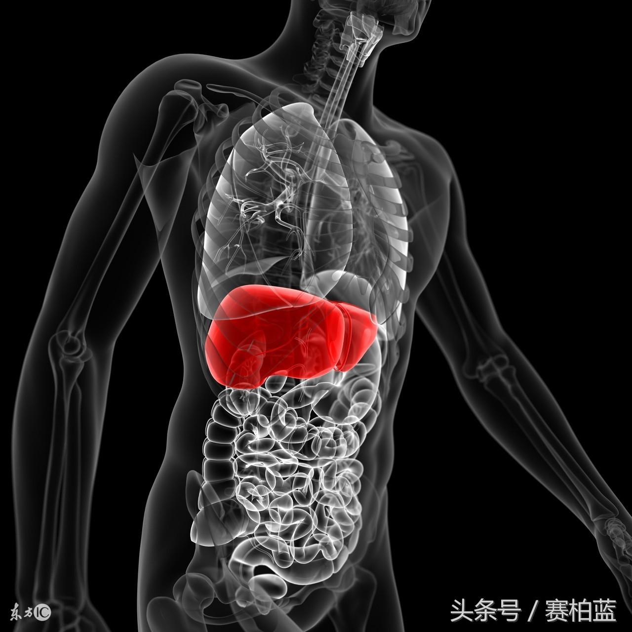 脂肪肝能补硒吗