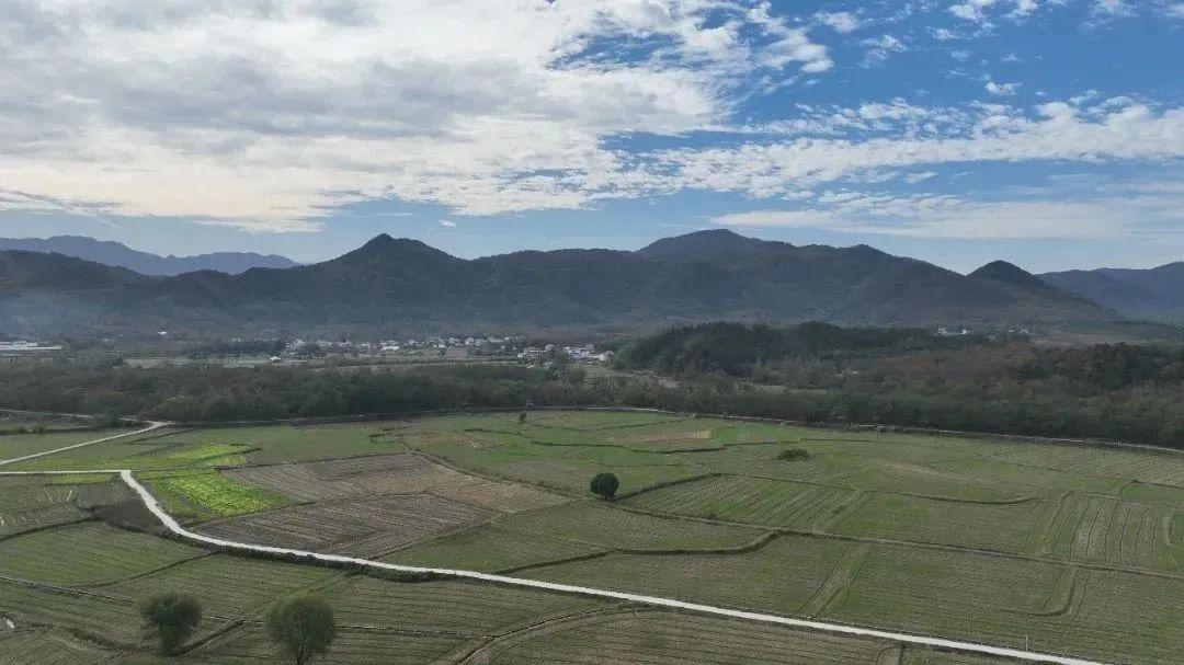 富硒米产品简介