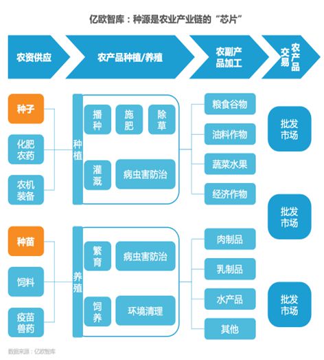 国内的富硒产品