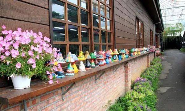 田园捞富硒产品