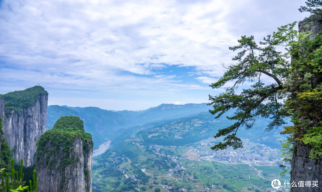 湖北人爱喝的3种茶，喝完爱不释手，你是不是也在喝？