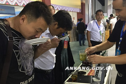 客户品尝紫阳富硒茶
