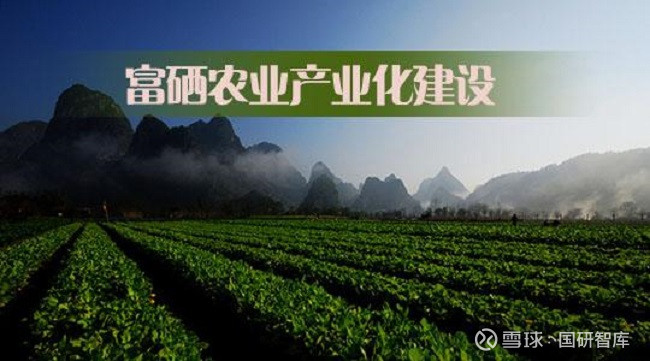 恩施富硒产品6