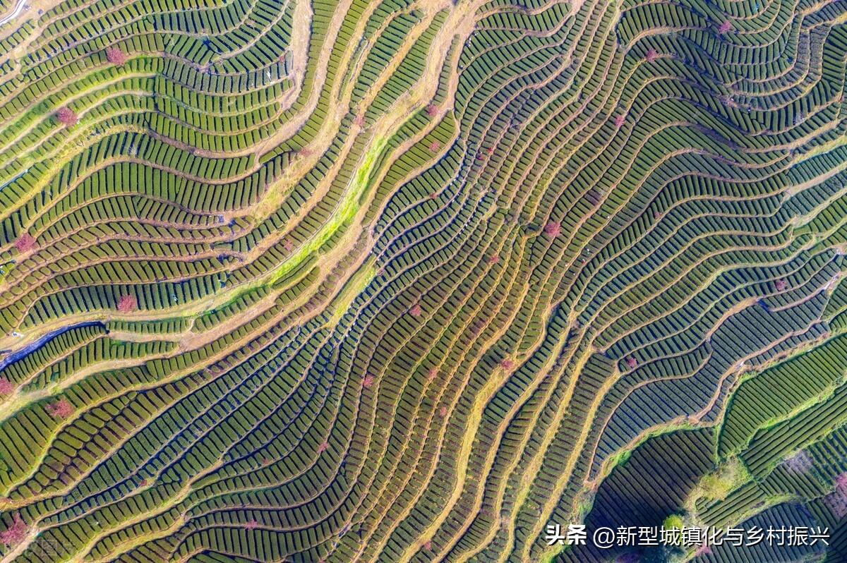 富硒绿色农产品