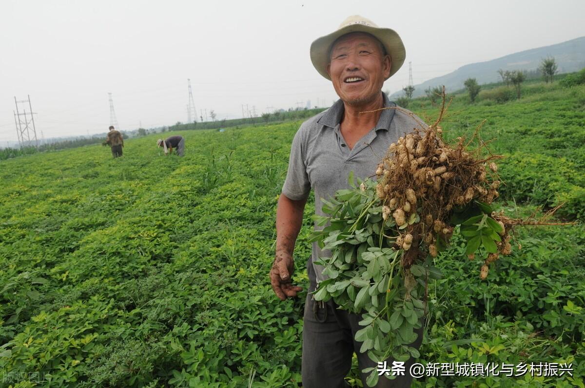 富硒绿色农产品