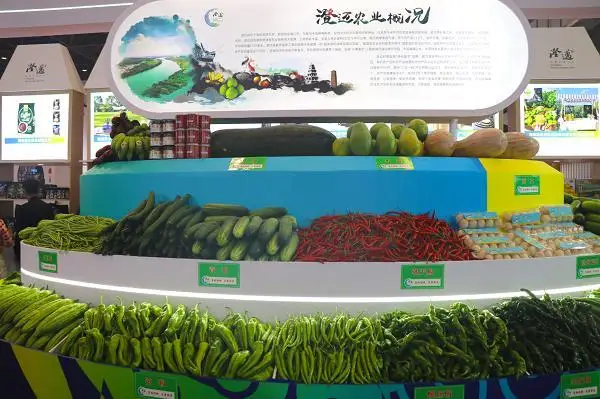 瓜果蔬菜展示区（陈建峰 摄）