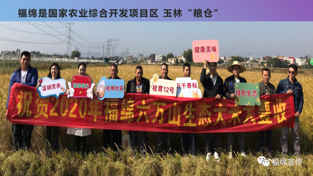 福绵区富硒产品