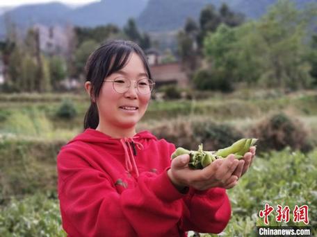 云南大理“90后”女孩直播卖农产品年销售额超千万