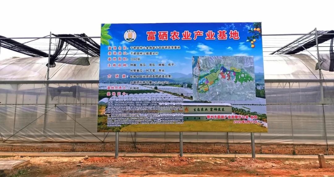 富硒农产品模式