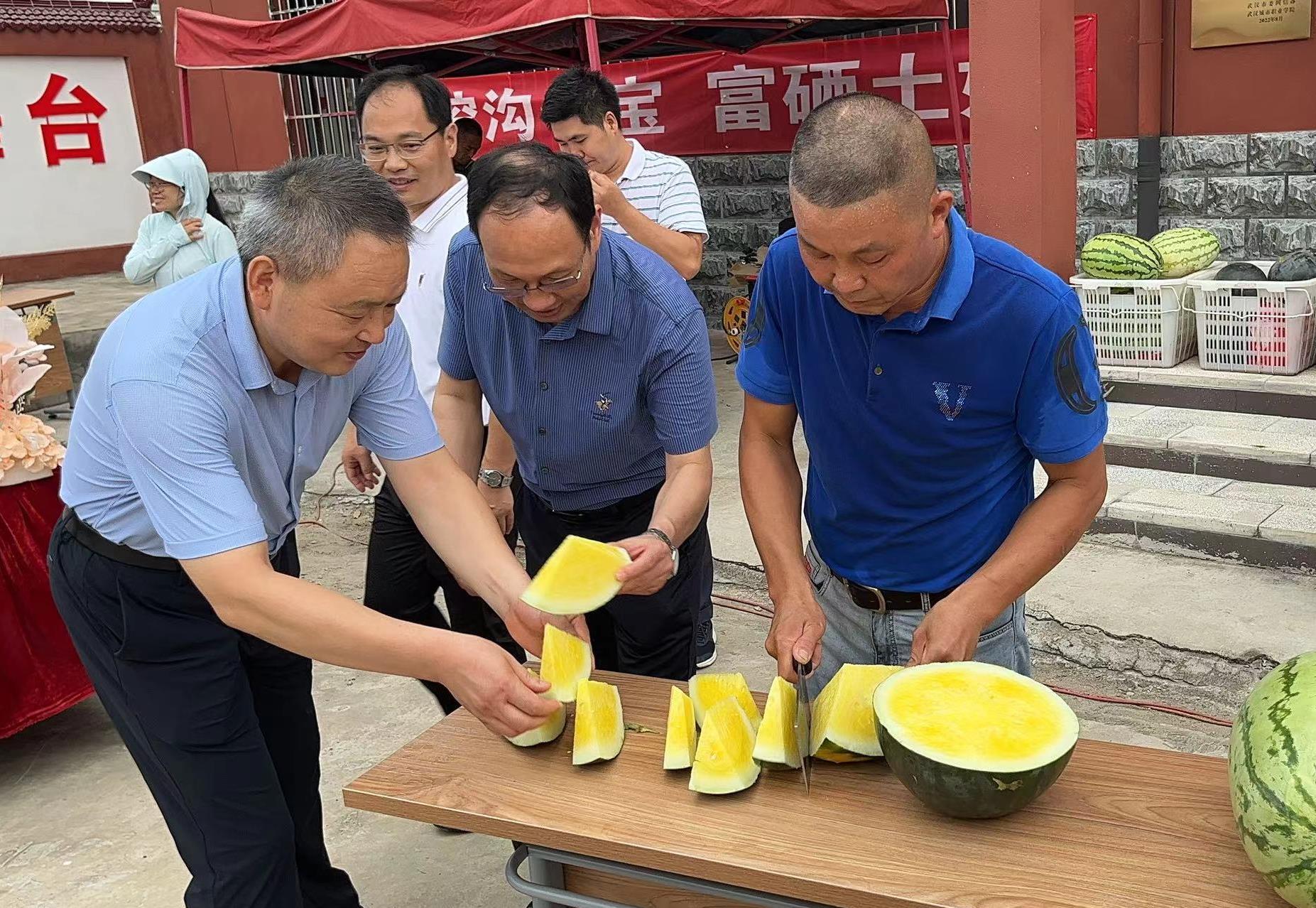 富硒农产品食品