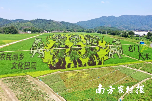 清远富硒农产品