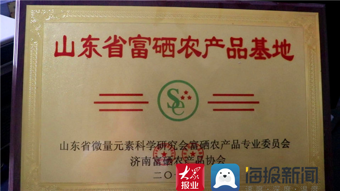 岭上富硒农产品