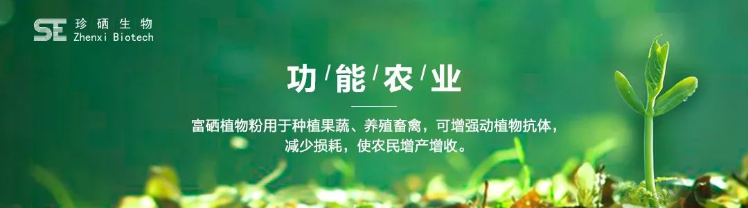富硒农产品价格