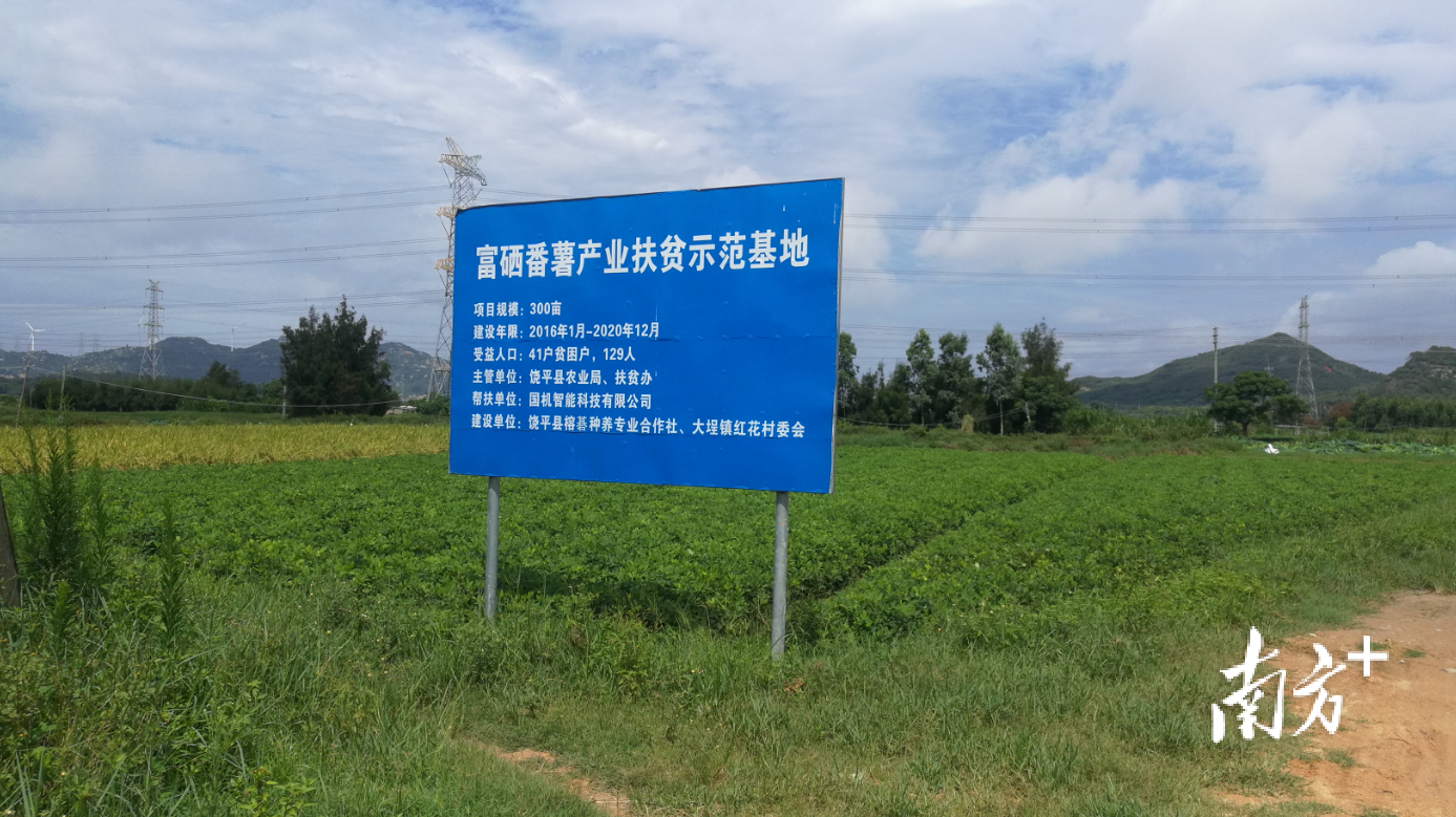 雨阳富硒农产品