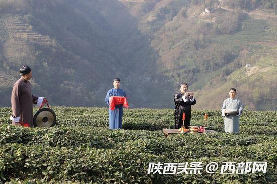 祭茶仪式