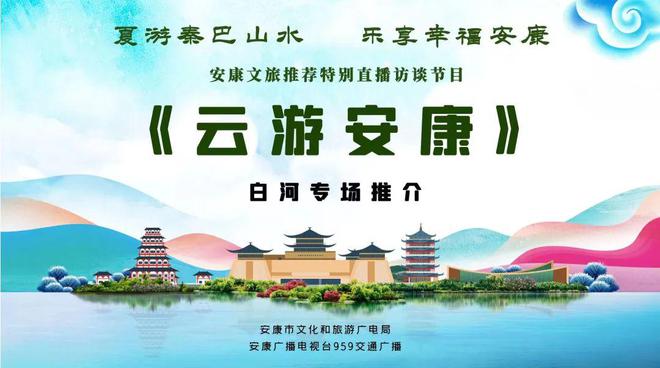 白河富硒茶价格