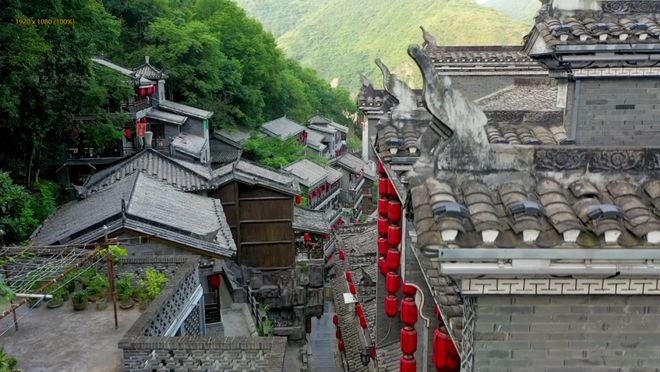 白河富硒茶价格