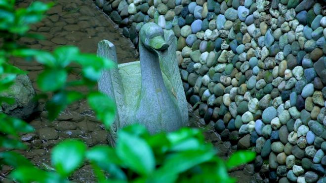 白河富硒茶价格