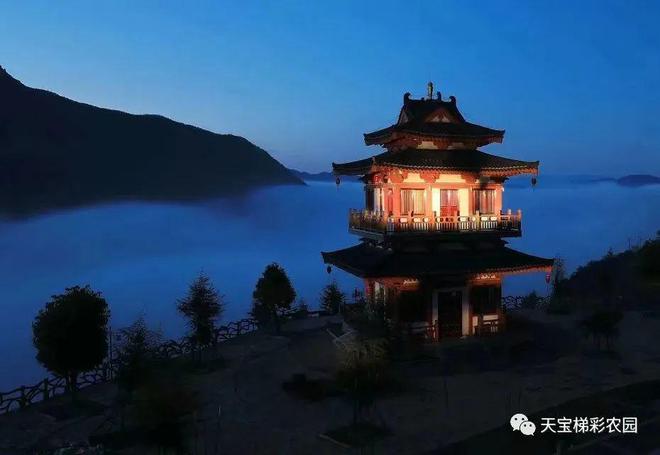 白河富硒茶价格