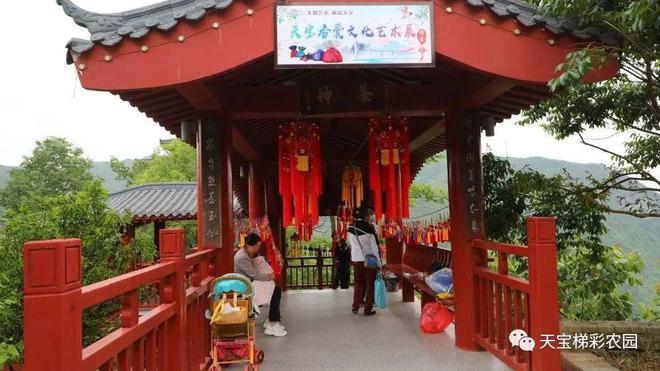 白河富硒茶价格